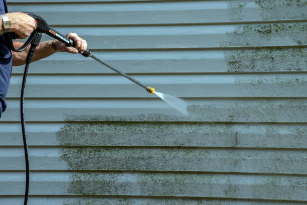Best Sidewalk Pressure Washing  in Whiteriver, AZ