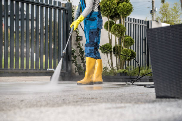 Best Exterior Home Cleaning  in Whiteriver, AZ